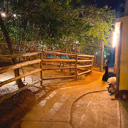 Palm Valley Cabins Mazatlan Exterior photo